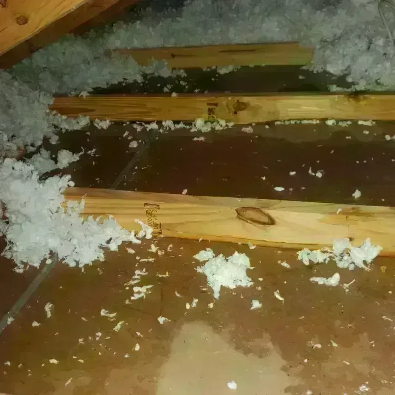 Attic Water Damage in Montrose-Ghent, OH